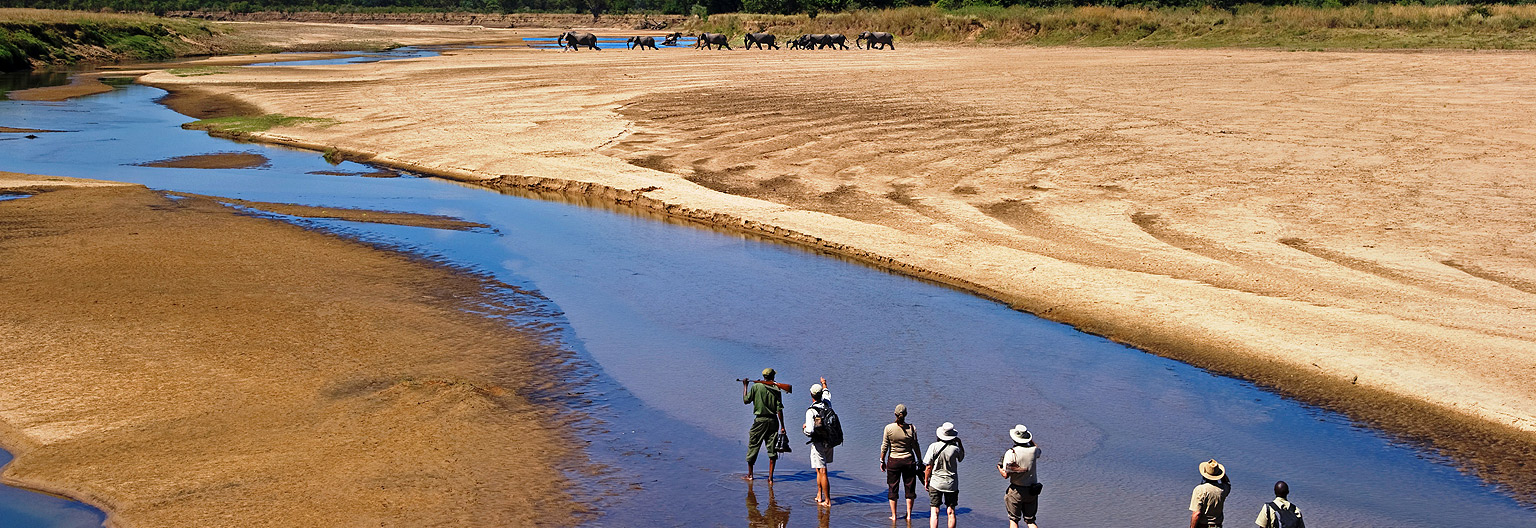 Tanzania Walking Safaris
