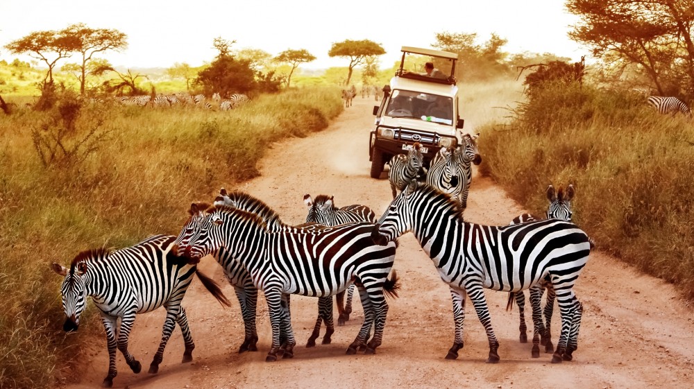 2 Days Tanzania Wildlife Safaris